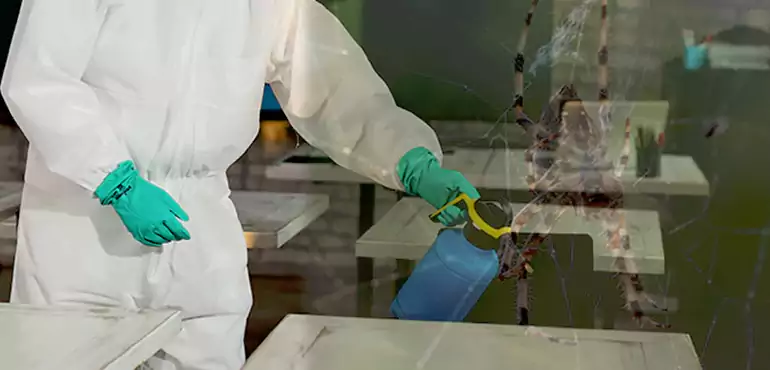 Why Buyers Still Want Homes With Pest Infestations in Detroit, MI?