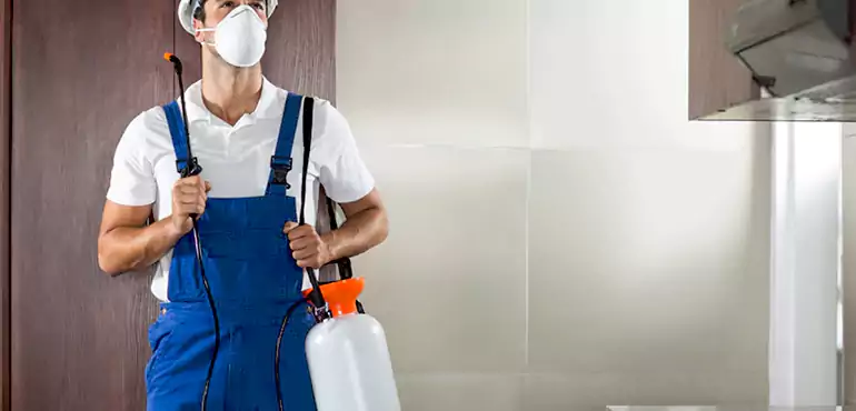 Why Detroit Homeowners Choose Us When Pests Make Selling Difficult