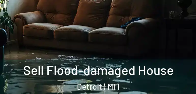  Sell Flood-damaged House Detroit ( MI )
